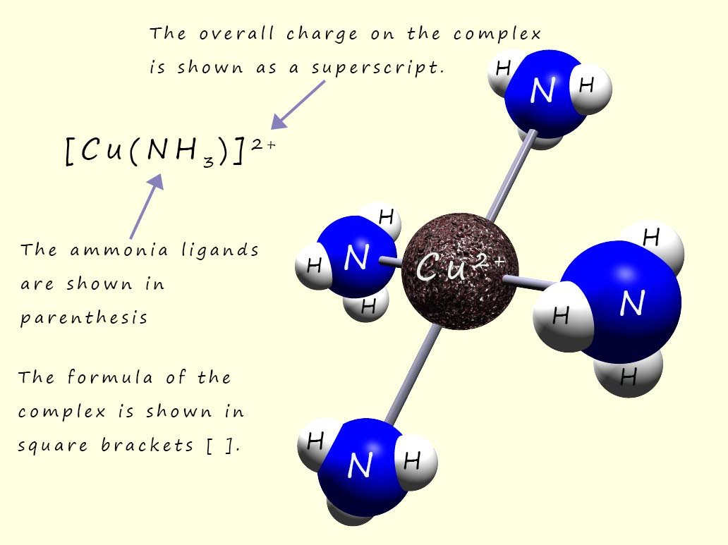 3d model of the copper ammonia complex